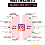 Instagram Algorithm 2025: Grow Faster with These New Secrets
